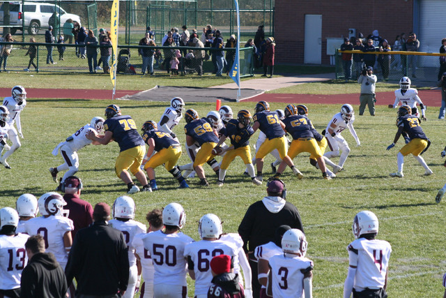 IMG-2955.jpg