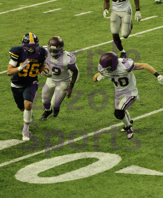 IMG-8224.png