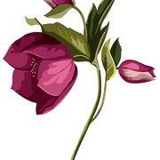 01-214