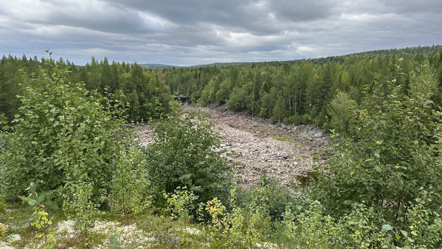 IMG 5831.jpg