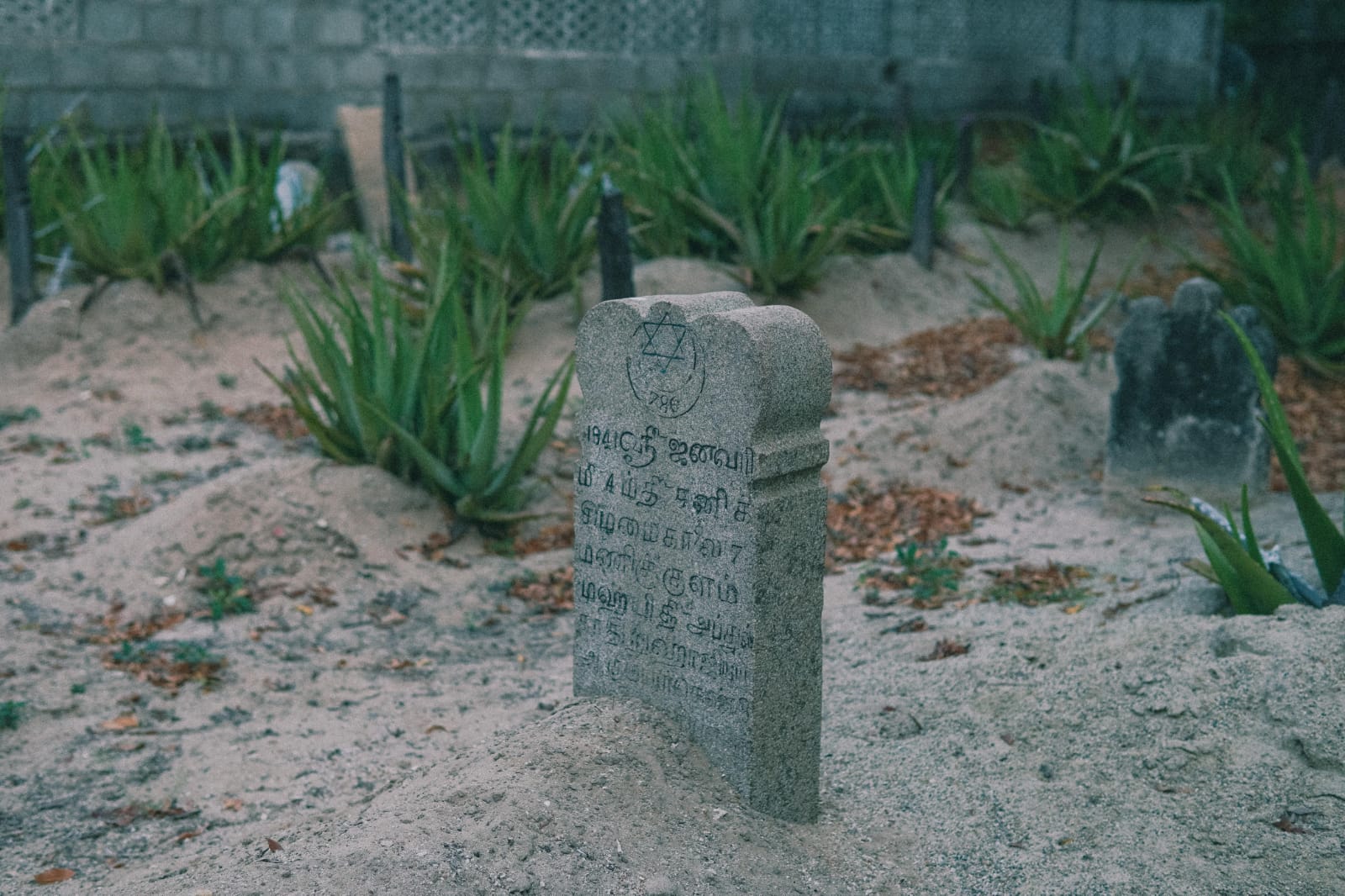  Ponies, Pearls and Power: Tombstones and Inscriptions as Sources of Merchant Rulers in South India