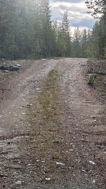 IMG 4827.jpg