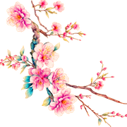 39b9f96b81671aacdeb01151d5c4d2e5