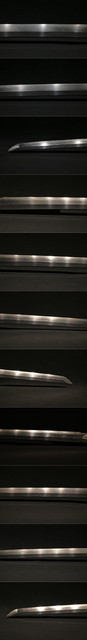 DSC3950.jpg