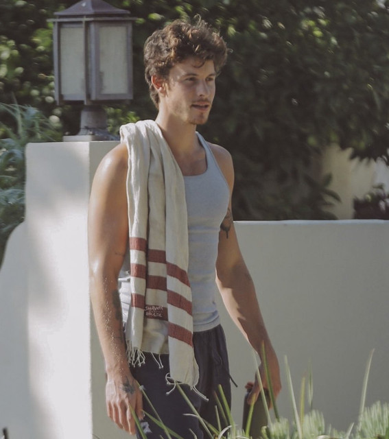 Shawn-Mendes-October-2023