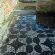 IMGP0083