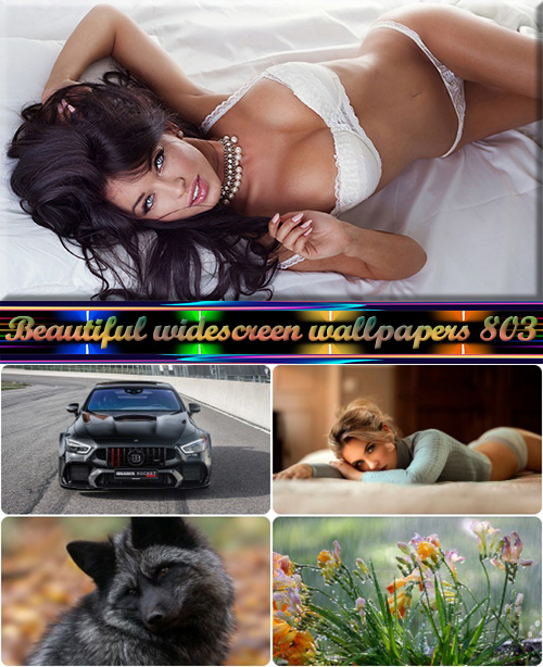 Beautiful widescreen wallpapers 803