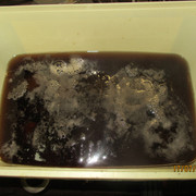 IMG-6064
