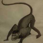 IMG-1339
