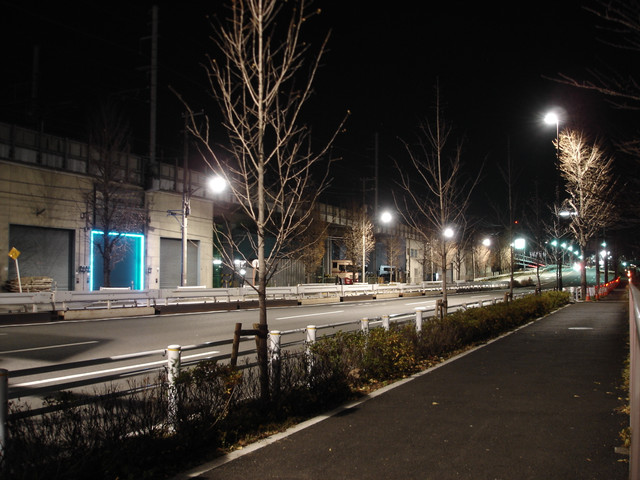 2012-01-03-05.jpg