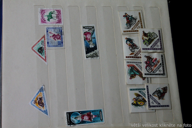IMG-6952.jpg