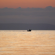 IMG-3029