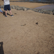DSC01035