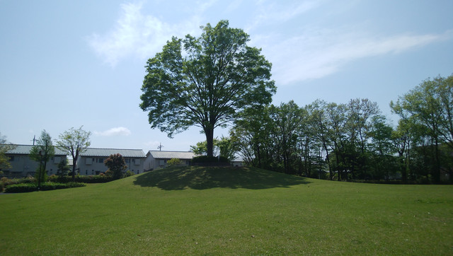DSC-0013