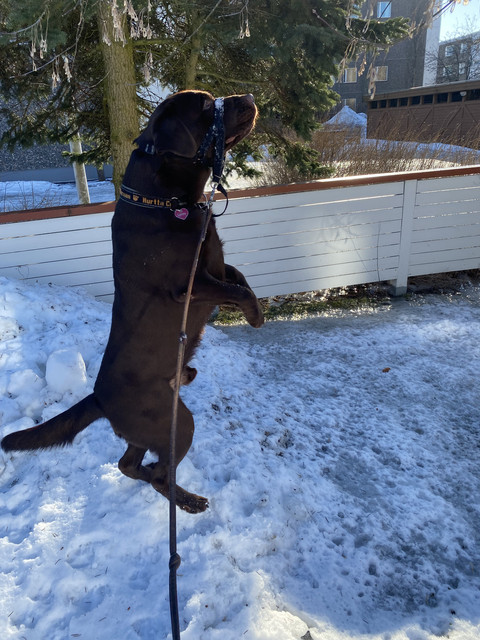 3-E49-BE67-F007-480-B-9-BDE-92219-DBCE5-