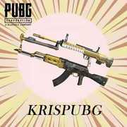 Lunar-Weapon-AKM-QBU-Set