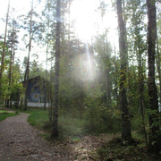 IMG-0771