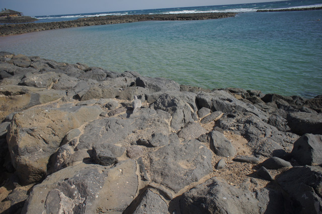 DSC01032
