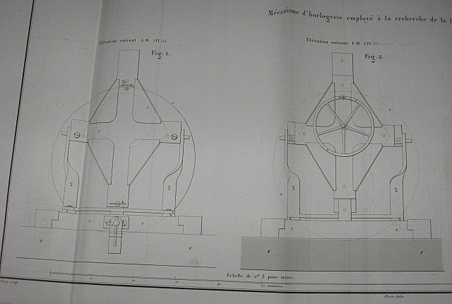 IMG 0350.jpg
