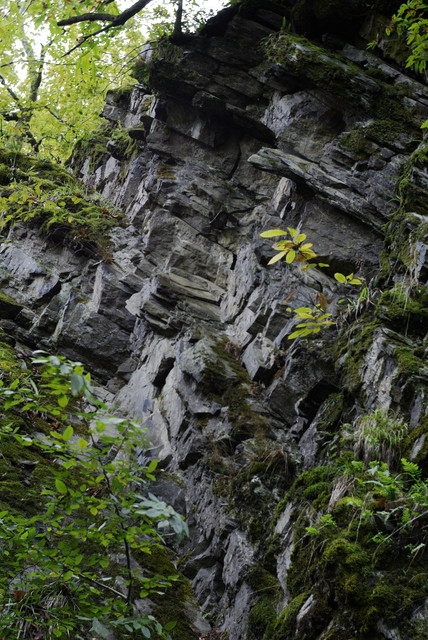 DSC7056.jpg