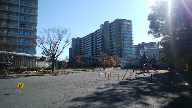 IMG-20221208-105636