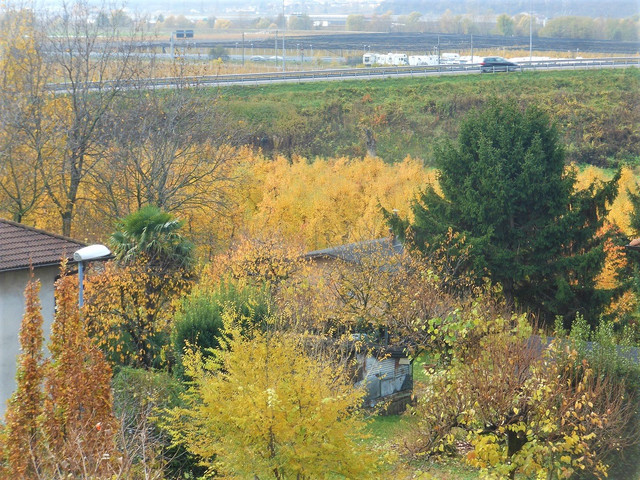 DSCN8380-2