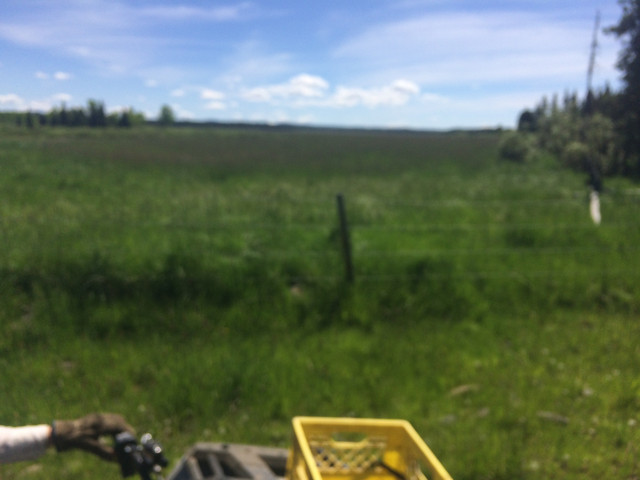 IMG-3086