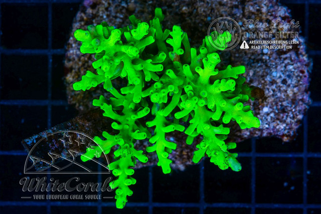 F220709-191
