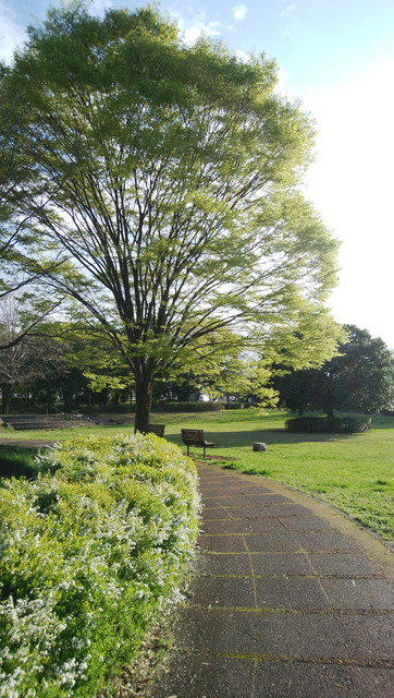 DSC-0140