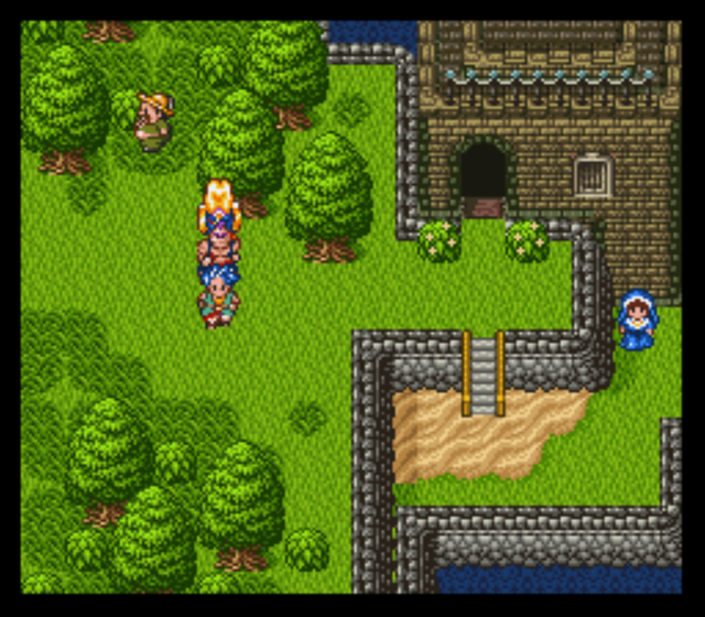 dq6 29