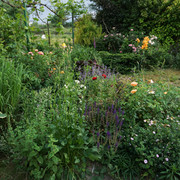 800-DSC05332