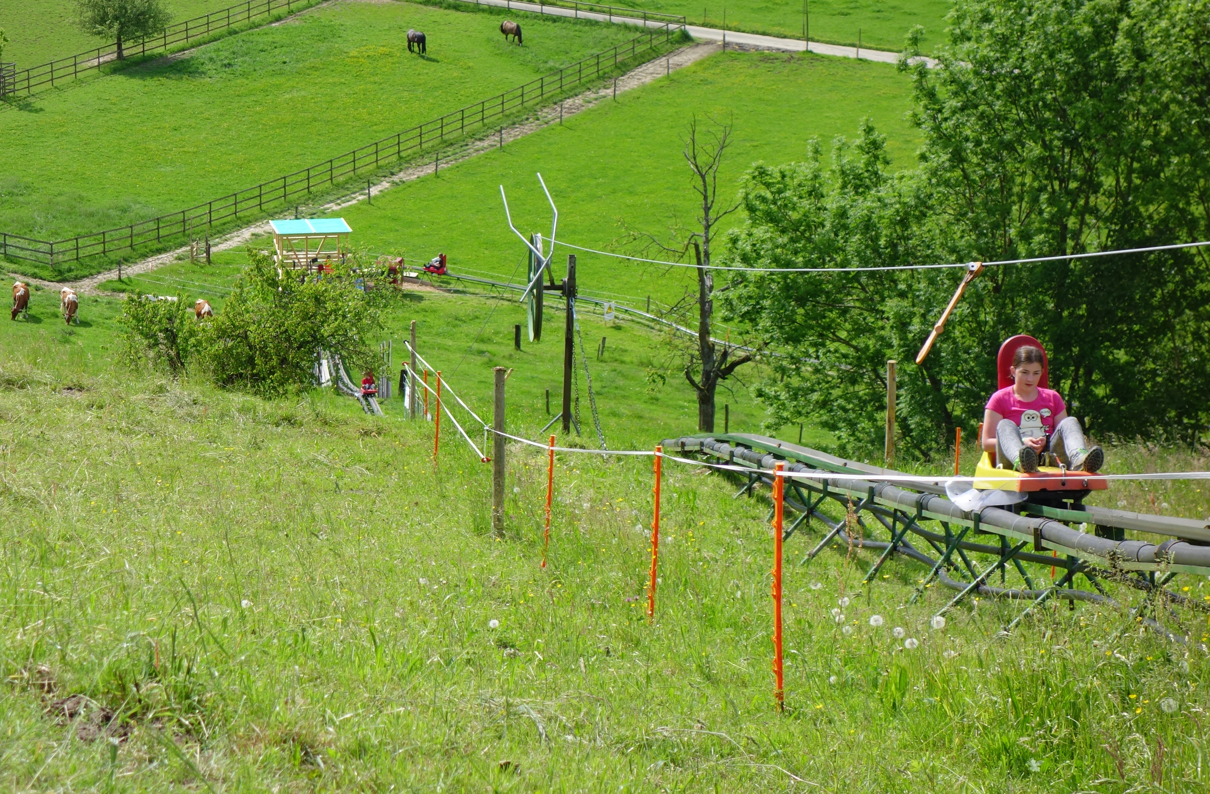 DSC00917