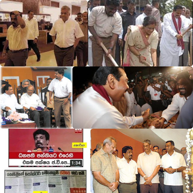 anura-collage.png