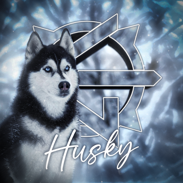 husky.png