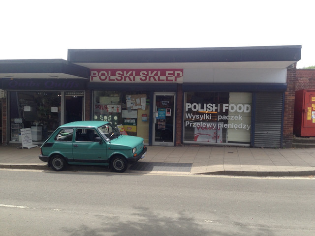 polskiskelp