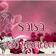 Salsa-Val22-Coupon-250-Misfitters