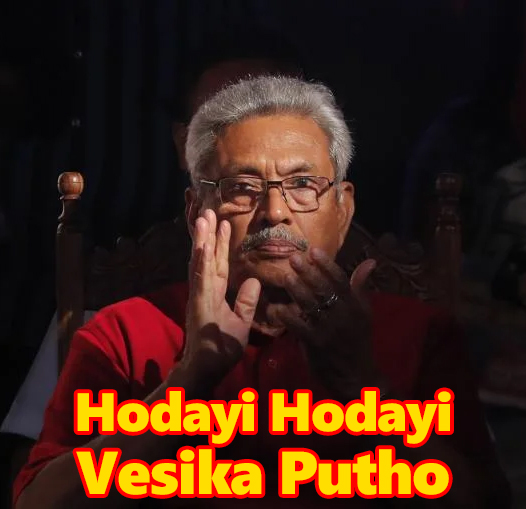 Gota-2-copy.jpg