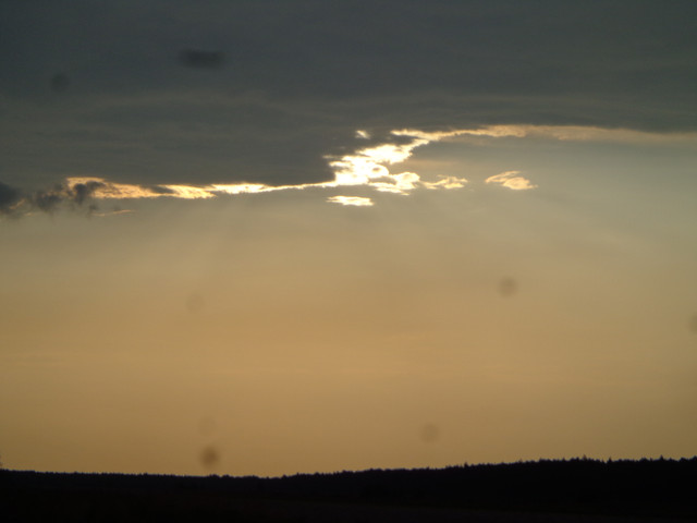 DSC01077.jpg