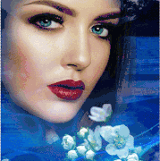 19.gif
