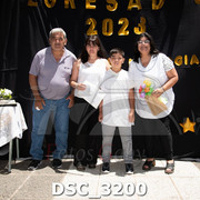 DSC-3200