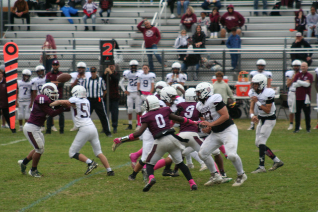 IMG-0297.jpg