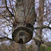 IMGP0067