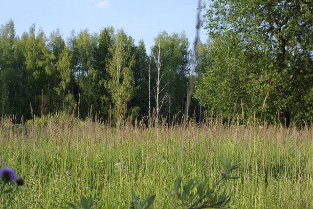 DSC5362-result.jpg