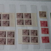 IMG-2107