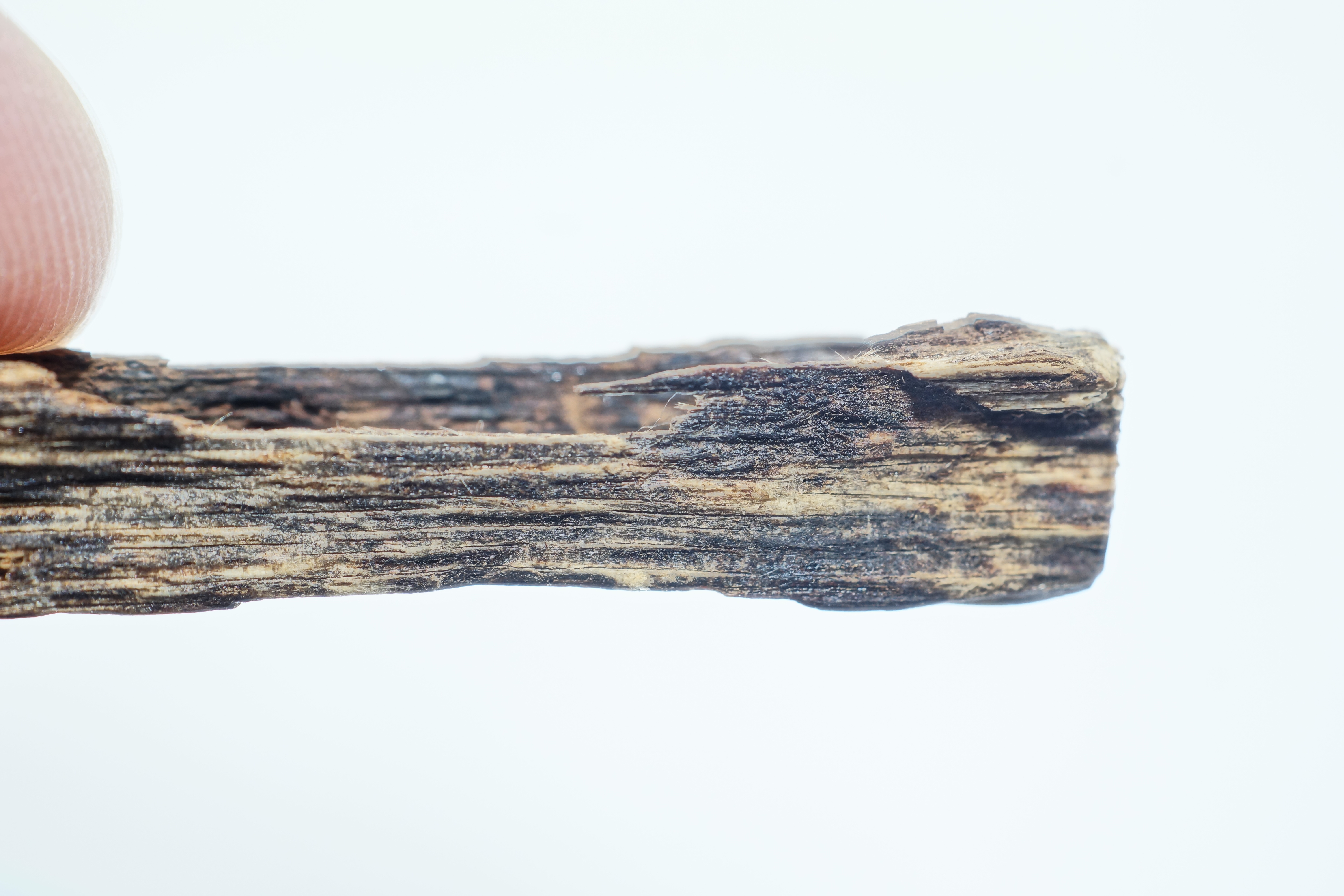 [Ouddict.com] Oud Photos