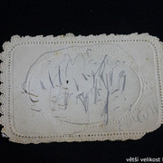 IMG-6989