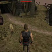Walkthrough 35
