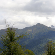 DSC7178