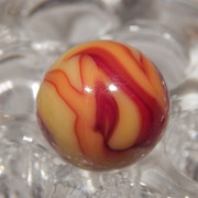DSCN0567