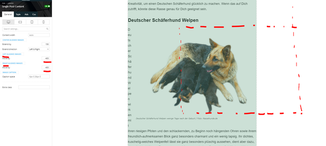 Image-move-not-working